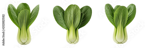 Fotografía Set of fresh green bok choy Chinese cabbage vegetable isolated on transparent ba