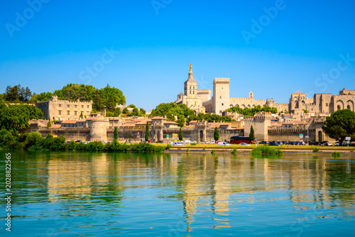 Schilderij op canvas Panoramic view of the historic center, Papal Palace and ancient city walls rise