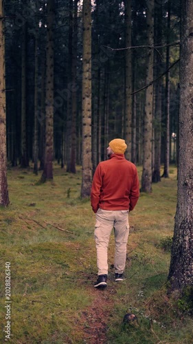 Cinematic footage of a man walking alone through a dense pine forest surrounded by tall trees and soft natural light. Atmospheric woodland scenery creates strong concepts for mindfulness, solitude.