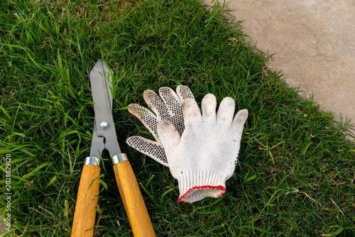 Quadro su tela Gardening tools with hedge shears and protective working gloves on green grass,