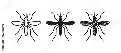 Foto Three mosquito illustrations from above: outline, solid fill, and hand-drawn sketch with shading