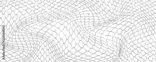 Black snake skin pattern isolated on white background eps 10