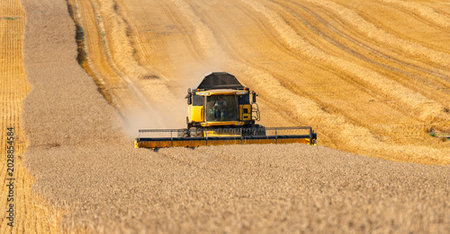 A combine harvester in a wheat field during harvest - 3297