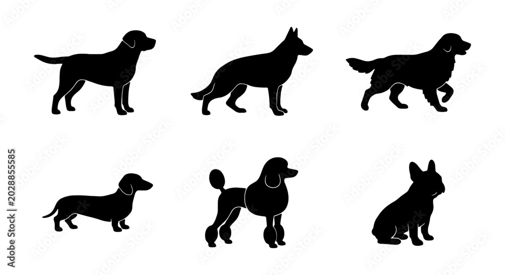 Fototapeta premium Set of dog silhouettes of different breeds
