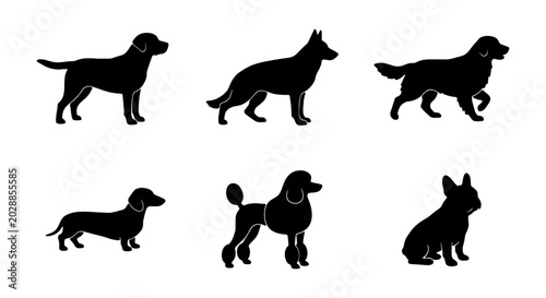 Set of dog silhouettes of different breeds