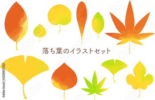 Watercolor Autumn Leaves Set with Transparent Background Illustration