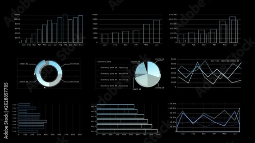 Modern dashboard displaying multiple chart styles including line, bar, pie, and area graphs to visualize business data, illustrating analytics, performance tracking, and professional data presentation