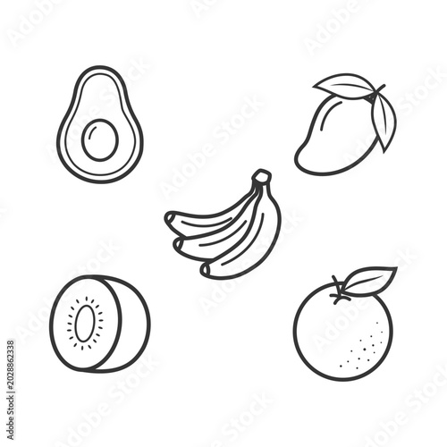 Fruit coloring page vector set with simple outline banana avocado and orange for kids