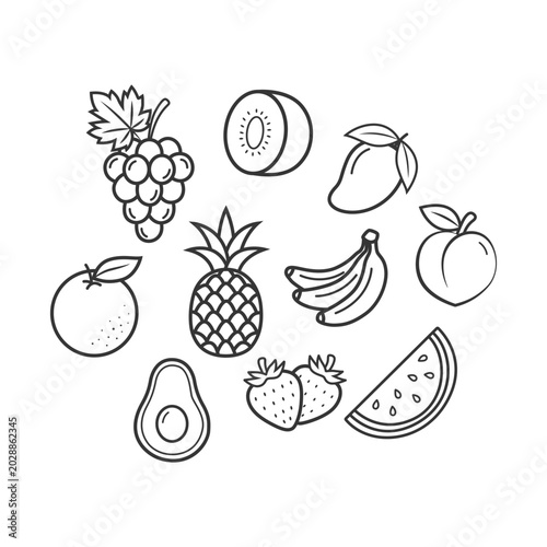Minimalist Fruit Line Art Vector Collection for Kids Coloring Page and Education