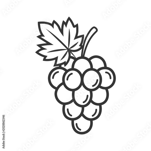 Cute Grapes Line Art Vector Design for Fruit Coloring Book
