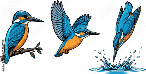Foto Beautiful Kingfisher Bird Vector Illustration Pack Featuring Three Dynamic Poses: Perched on Branch, Flying with Spread Wings, and Diving into Blue Water with a Splash, Wildlife Art