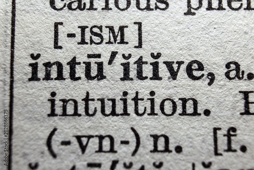 Tableau sur toile Word intuitive on dictionary page, macro close up