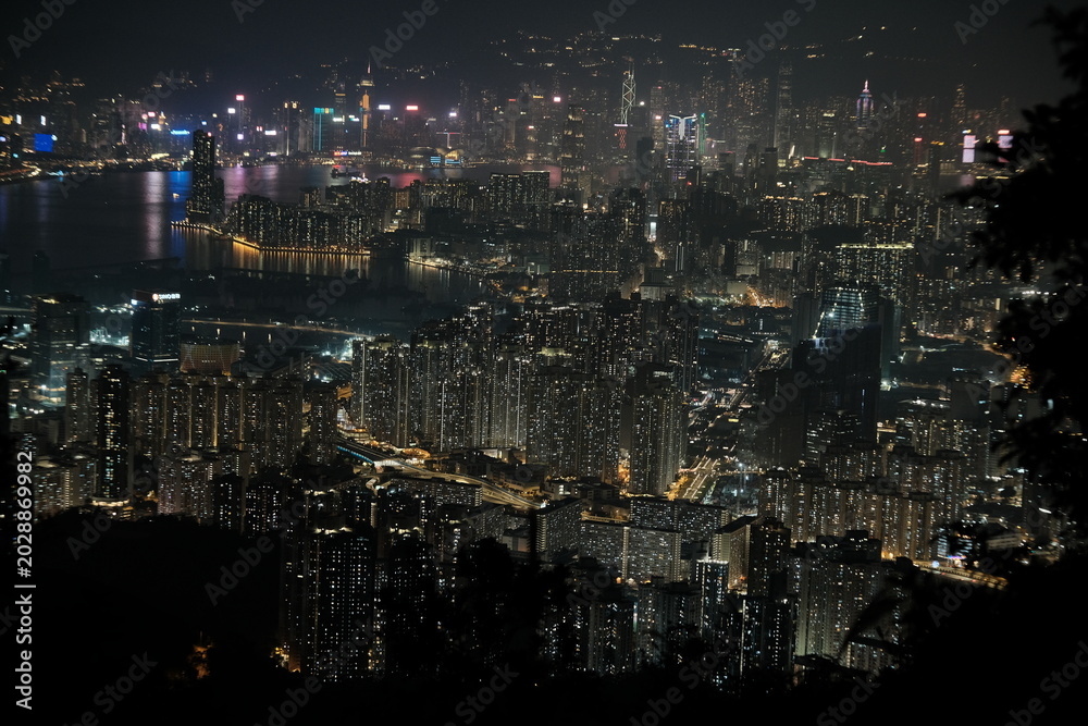 Fototapeta premium Hong Kong skyline at night