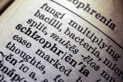 Картината върху платно Word schizophrenia on dictionary page, macro close up