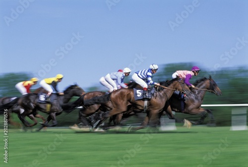 Horse racing