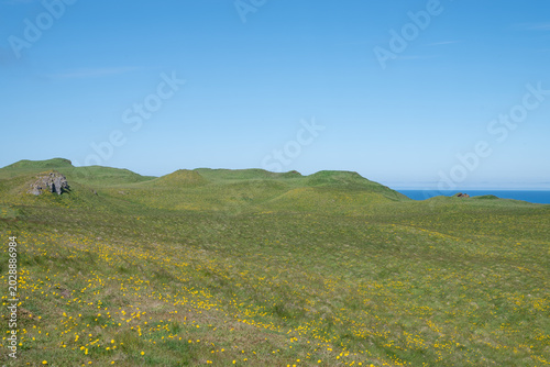 Beautiful rural landscape of island of Grimsey in Iceland