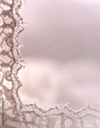 Delicate intricate lace trim edge closeup, soft dreamy light, romantic texture, perfect for wedding stationery, feminine fabric pattern backdrop