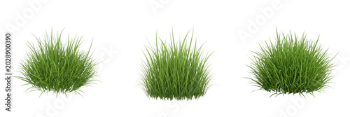 Lush Green Grass Tuft Set Isolated on White Background