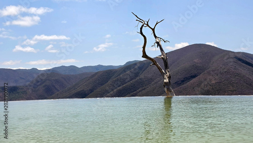 Fotografia Hierve el Agua in Oaxaca, Mexico are petrified waterfalls, formed by calcium car