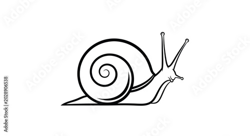 Fotografi Minimalist Outline Snail Illustration