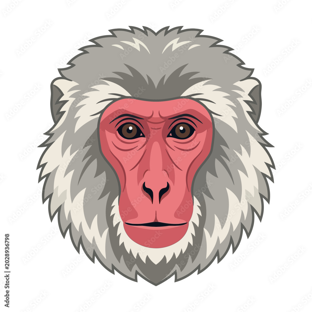 Obraz premium Japanese Macaque Monkey Face Illustration