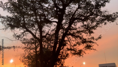 Tableau sur toile enjoying the sunset in the campus park with your sweetheart