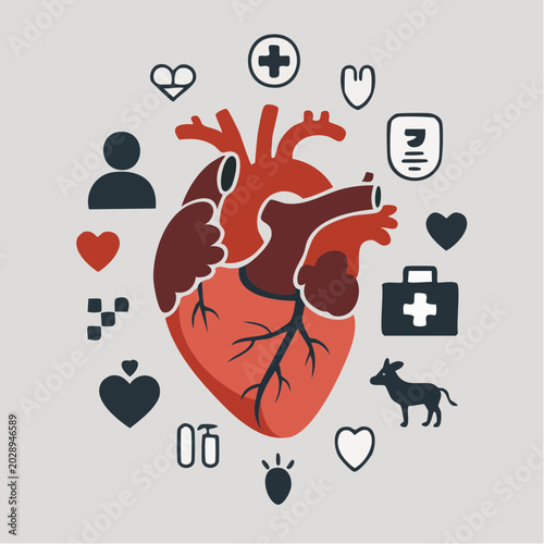 Anatomical heart illustration with medical symbols and icons
