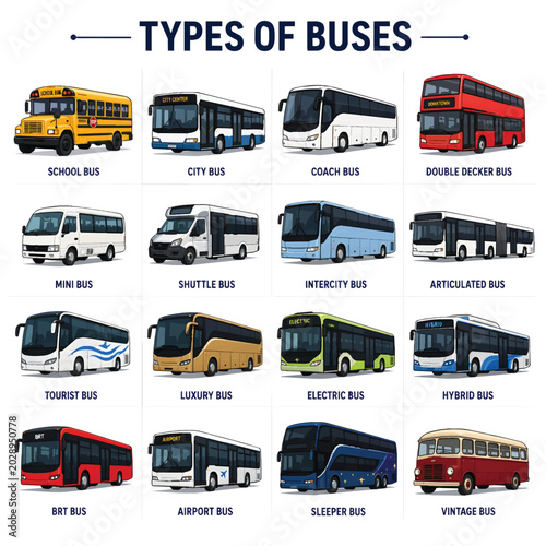 Bus Transportation Line Art Color Vector Illustration for Public Transit and Travel Design