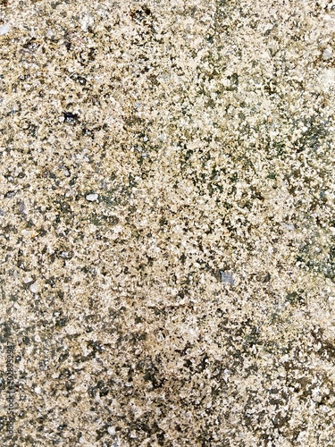 Rough stone surface texture with green moss and weathered sand grains background