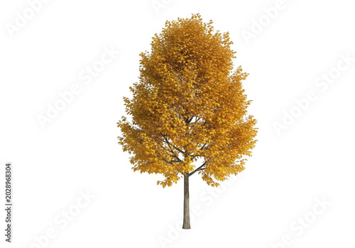 A lone tree with vibrant yellow leaves stands isolated on transparent background