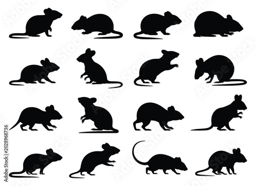 Collection of mouse silhouettes in various poses silhouette