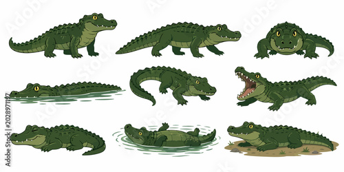 Several green crocodiles are illustrated in various aquatic poses on water surface