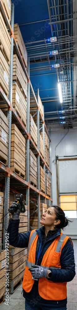 Fototapeta premium Industrial storage racks and a woman holding a digital scanner in a cold chain warehouse for agricultural IoT, food logistics and supply chain management with copy space