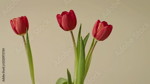 Three vibrant red tulips with green stems against a soft beige background