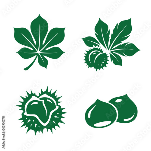 Set of four distinct green horse chestnut plant elements a broad palmate leaf a spiky seed pod a bursting husk two smooth round nuts. these vector illustrations represent the various stages