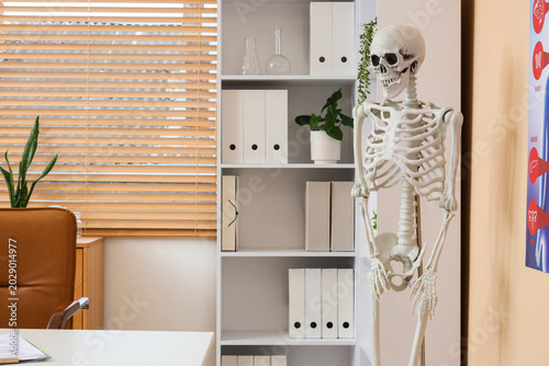 Human skeleton model near s...