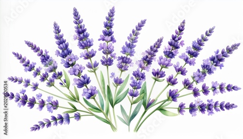 A vibrant bunch of lavender flowers standing on a white table indoors.