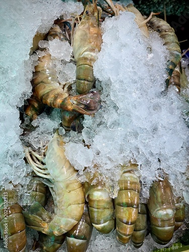 Slika na platnu Close up of raw giant river prawns on crushed ice at seafood market