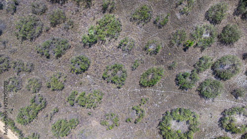 Schilderij op canvas Murundu fields are geomorphological formations, with small convex mounds of earth up to 20 meters in diameter as groundwater recharge areas, they are threatened with extinction