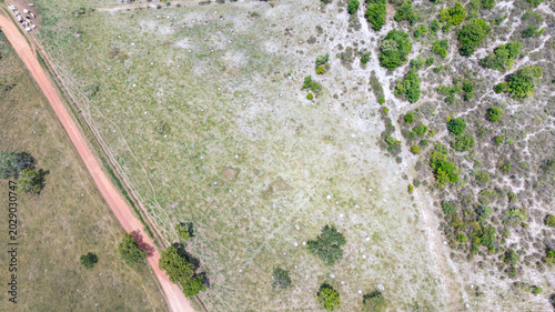 Fotografia Murundu fields are geomorphological formations, with small convex mounds of earth up to 20 meters in diameter as groundwater recharge areas, they are threatened with extinction