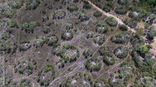 Photos Murundu fields are geomorphological formations, with small convex mounds of earth up to 20 meters in diameter as groundwater recharge areas, they are threatened with extinction