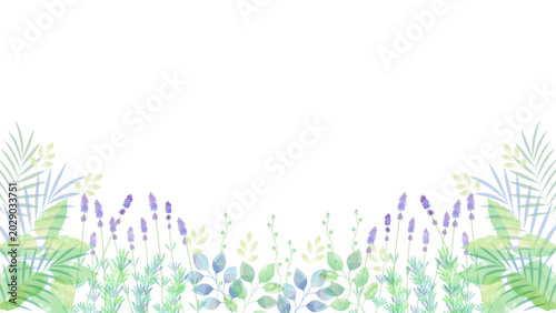 透明感のある水彩風 植物のイラストイメージ
