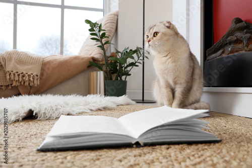 Cute cat and book near fire...