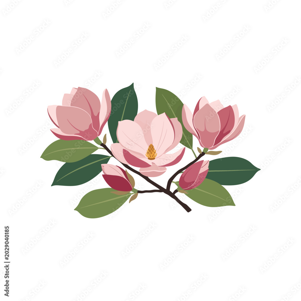 Fototapeta premium Magnolia Flower Branch Vector Clipart Isolated Pink Floral Illustration Design