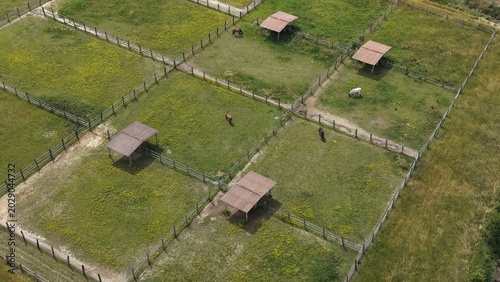 horses grazing in individual paddocks aerial view