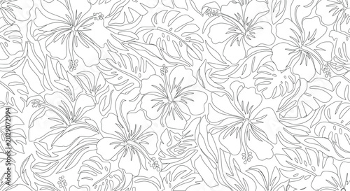 Floral pattern, delicate line drawing on white background