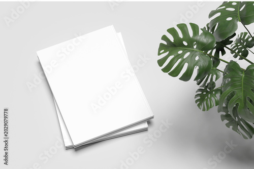 Book mockup with stack of two blank white covers flat lay next to monstera plant decoration, minimalist editorial catalog design template, realistic 3d render on light gray background