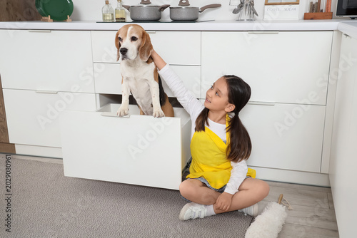 Cute little Asian girl with...