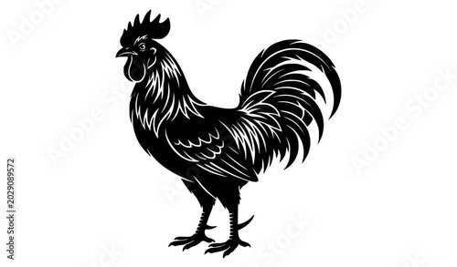 Cuadro en lienzo Rooster silhouette vector illustration isolated on white background
