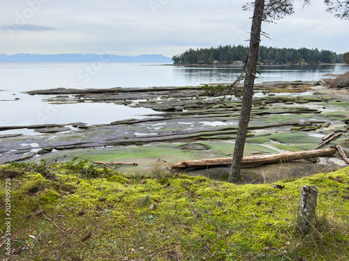 View from the coast of Gabriola Island at low tide